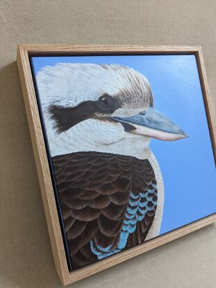 A painting of an Australian Laughing kookaburra profile and upper body against a sky blue background. Framed in Tasmanian oak.