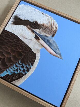 A painting of an Australian Laughing kookaburra profile and upper body against a sky blue background. Framed in Tasmanian oak.