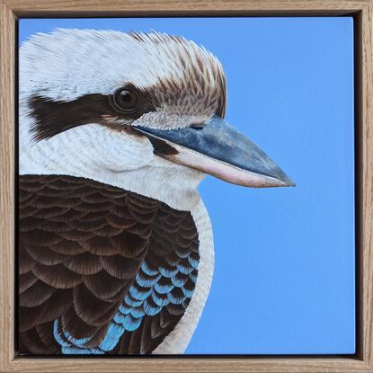 A painting of an Australian Laughing kookaburra profile and upper body against a sky blue background. Framed in Tasmanian oak.