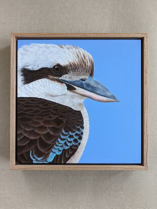 A painting of an Australian Laughing kookaburra profile and upper body against a sky blue background. Framed in Tasmanian oak.