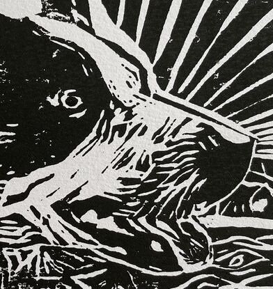 Portrait lino cut print of a blue heeler cross cattle dog. Close up of a dog’s face in black and white with its tongue hanging out. Sun rays in the background. 