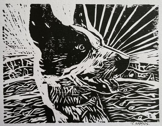 Portrait lino cut print of a blue heeler cross cattle dog. Close up of a dog’s face in black and white with its tongue hanging out. Sun rays in the background. 