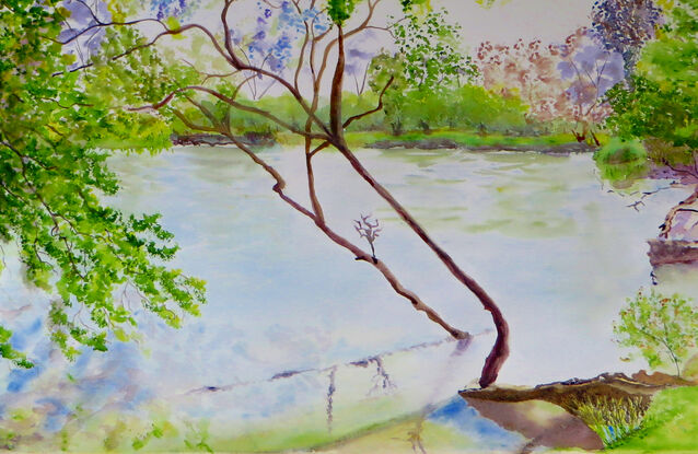 varying tones of green foliage along the ragged banks of the slow moving water of the Murray River with the reflections and being in the spring season I added some pastel purple foliage to hint at Jacaranda blooms