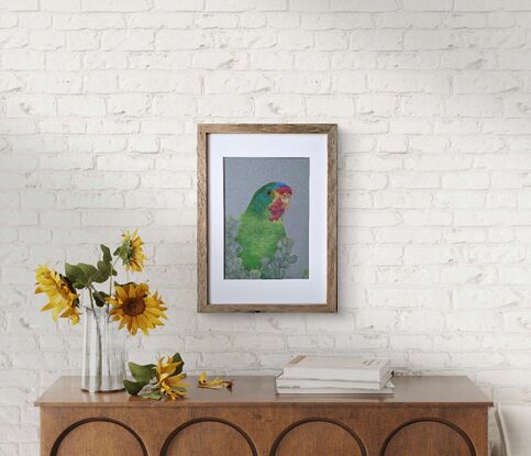 A portrait of a swift parrot. Swift parrots are mostly green with some red, blue, yellow and purple colour patterns.  The swift parrot sits  behind eucalypt leaves.  Drawn with coloured pencils on coloured paper.  Framed with a white mat board and wooden frame.