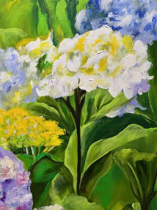 Pastels reflecting the beauty of hydrangeas in a garden that bring so much joy to all who see them