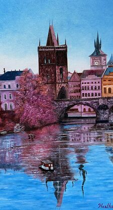 Cherry Blossom on Vltava River - Prague