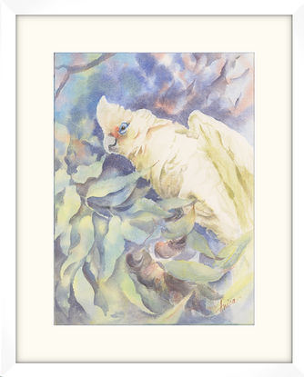 A Little Corella with open wings up high in a tree with a semi abstract leafy background.