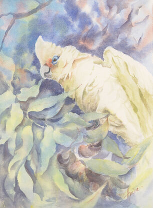 A Little Corella with open wings up high in a tree with a semi abstract leafy background.