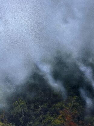 Mist cloud rising over forest 