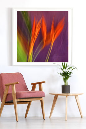 close up of Heliconia flower captured in abstract form