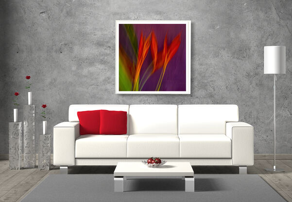 close up of Heliconia flower captured in abstract form