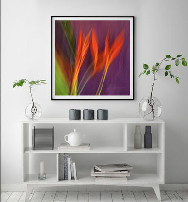 close up of Heliconia flower captured in abstract form