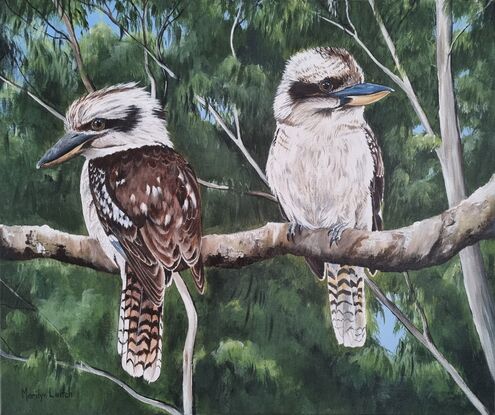 Two beautiful Australian kookaburras in the bush