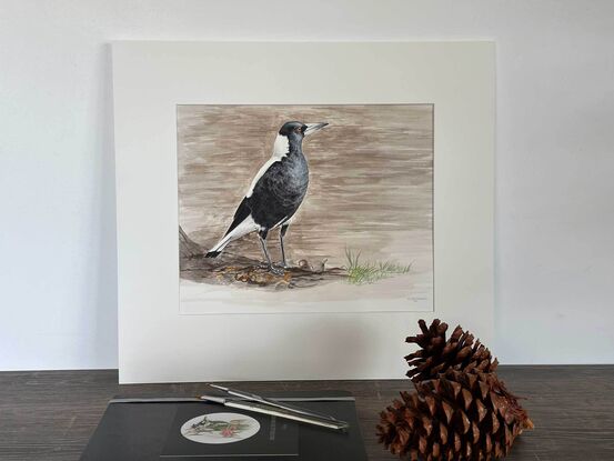 Australian Magpie with a brown background