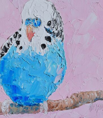 A thickly textured oil painting of a colourful budgerigar with bright blue and white feathers, perched on a  branch. The background is a soft pink, which contrasts nicely with the vibrant colour of the bird.