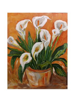 Arum Lily, Terracotta pot, Lily, Flower display