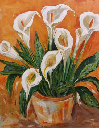 Arum Lily, Terracotta pot, Lily, Flower display