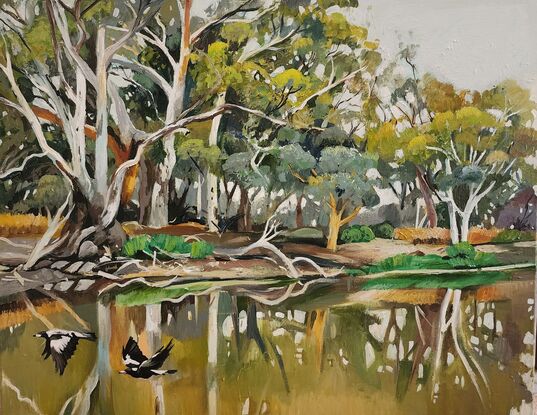 An impressionistic view of the Australian landscap
A riverbank, gum trees, water reflections and magpies.