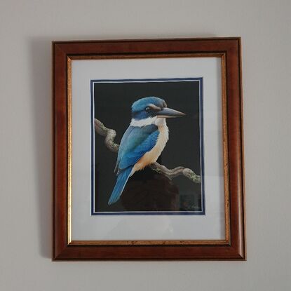 A kingfisher on a branch against a black background.