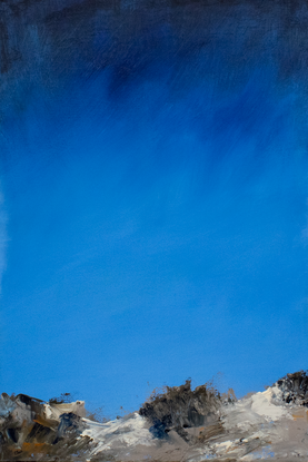 Intense blue sky, low horizon, beach sand dunes in the foreground with bush scrub.