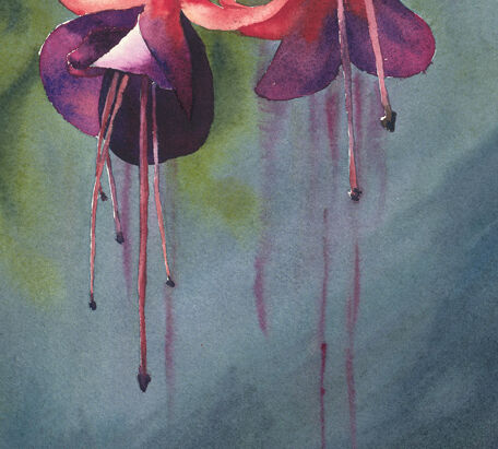 colourful fushia flower watercolour giclee print