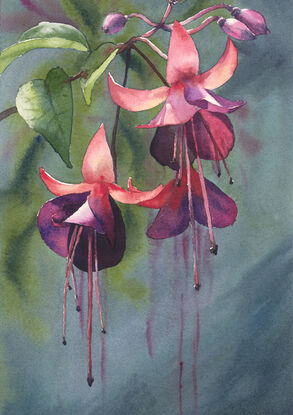 colourful fushia flower watercolour giclee print