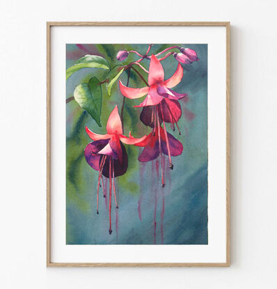 colourful fushia flower watercolour giclee print