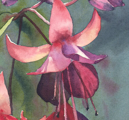 colourful fushia flower watercolour giclee print