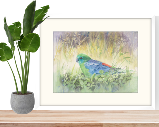 A green turquoise parrot enjoying its natural environment in grass and clover.