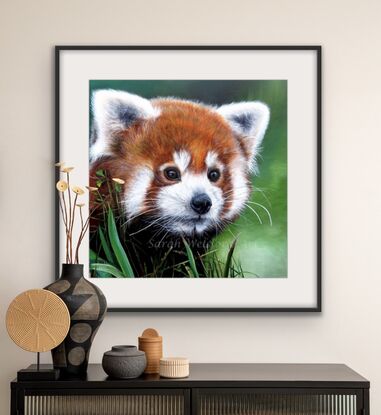 This  fine art print is of an Original painting of an ‘up close’ acrylic realism painting of a tiger cub.