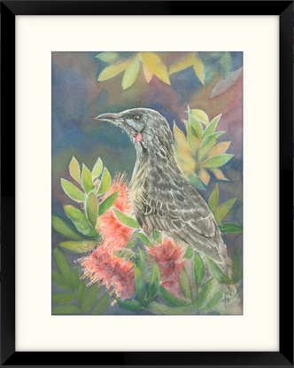 A Red Wattlebird perched in crimson bottlebrush and foliage with hints of backlghting on a darkish watercolour abstract background.