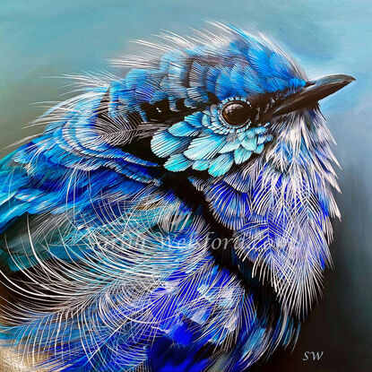 This  fine art print is of an Original painting of an ‘up close’ acrylic realism painting of a splendid fairy wren.