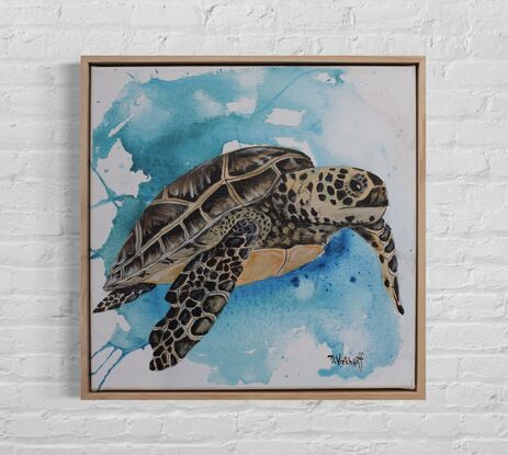 Turtle with blue abstract background 