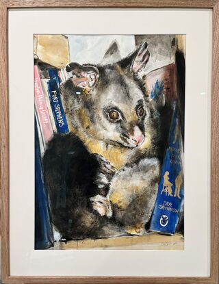 Possum inbetween books