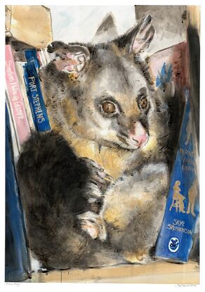 Possum inbetween books