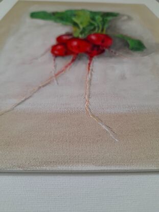 Bunch of radish lying flat on white background casting shadow