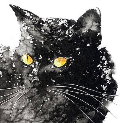 Cat’s eyes gleam as she explores the snowy landscape.