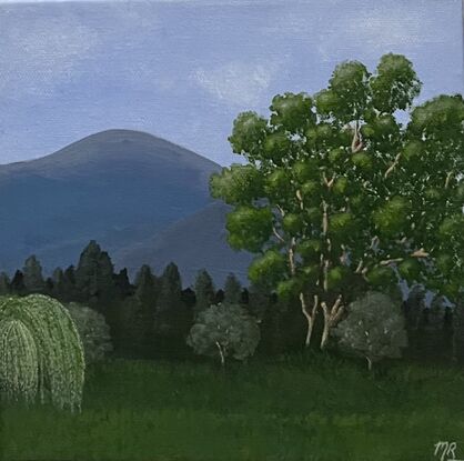 Mudgee Landscape, Countryside, trees, grassy field