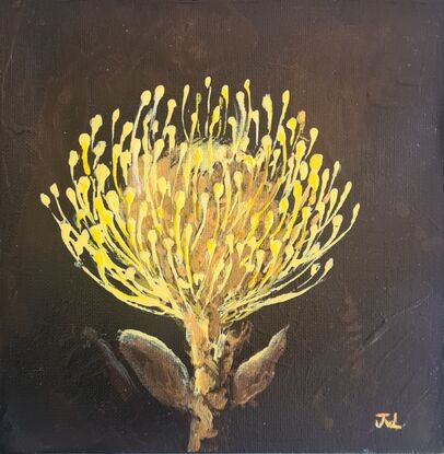 Golden crown - Pincushion Protea
Acrylic on canvas created in a loose ,free flowing interperative style. 
Ready to hang. Signed on the front and supplied with Certificate of Authenticity.Painted on all 4 sides on Gallery Wrapped Canvas, this original artwork comes to you ready to hang.