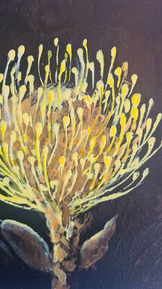 Golden crown - Pincushion Protea
Acrylic on canvas created in a loose ,free flowing interperative style. 
Ready to hang. Signed on the front and supplied with Certificate of Authenticity.Painted on all 4 sides on Gallery Wrapped Canvas, this original artwork comes to you ready to hang.