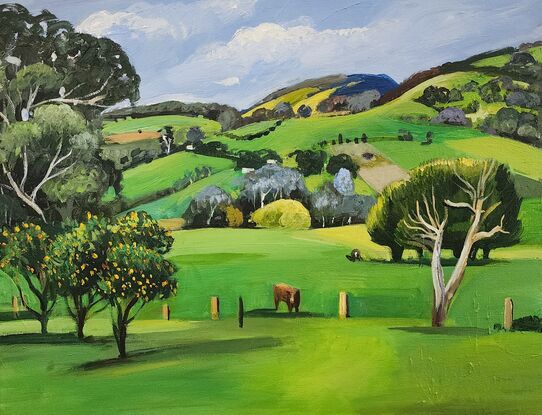 Rural Australian Landscape depicting an Orchard with a Cow. Rolling hills in the background.