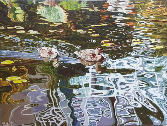 Two ducks swimming towards complex reflections on the water 