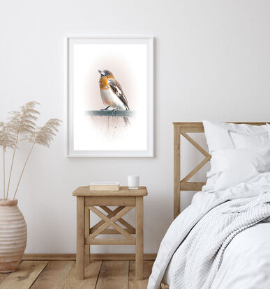 Bird Art
Nature Art
Animal Art