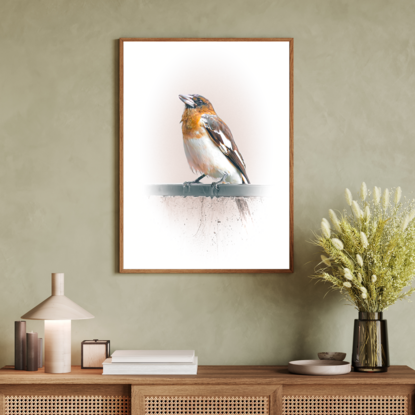 Bird Art
Nature Art
Animal Art