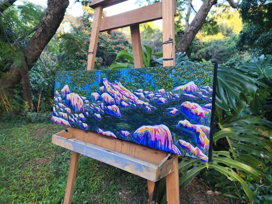 Brightly coloured rocks stand out among grasses on the edge of dense bushland, the water of the creek is almost clear and runs calmly through the middle