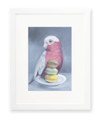 Pink and Grey Galah with a plate of macaroons. 