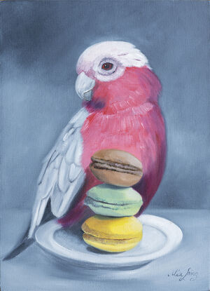 Pink and Grey Galah with a plate of macaroons. 