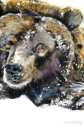 Lying on snow, the bear basks contentedly, a heartwarming contrast to the chilly landscape.
