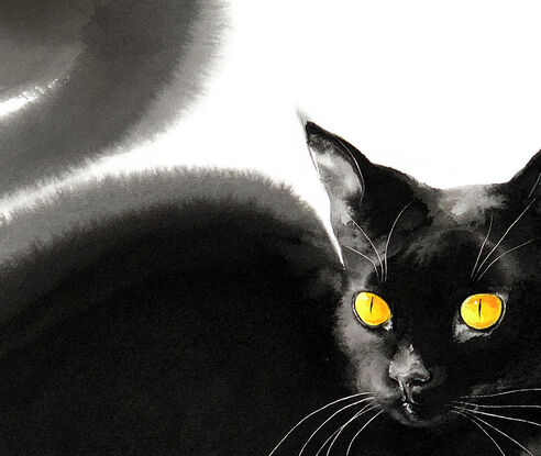 Cat’s sleek black fur and golden eyes enchant all who meet her gaze, her tail swaying with fluid grace.