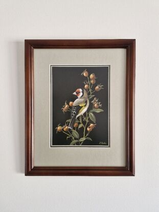 A brown, black and gold finch surrounded by rose hips and foliage, on a black background.